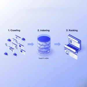 How Do Search Engines Actually Work