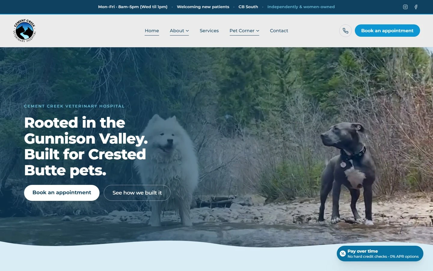 Cement Creek Veterinary Hospital design preview