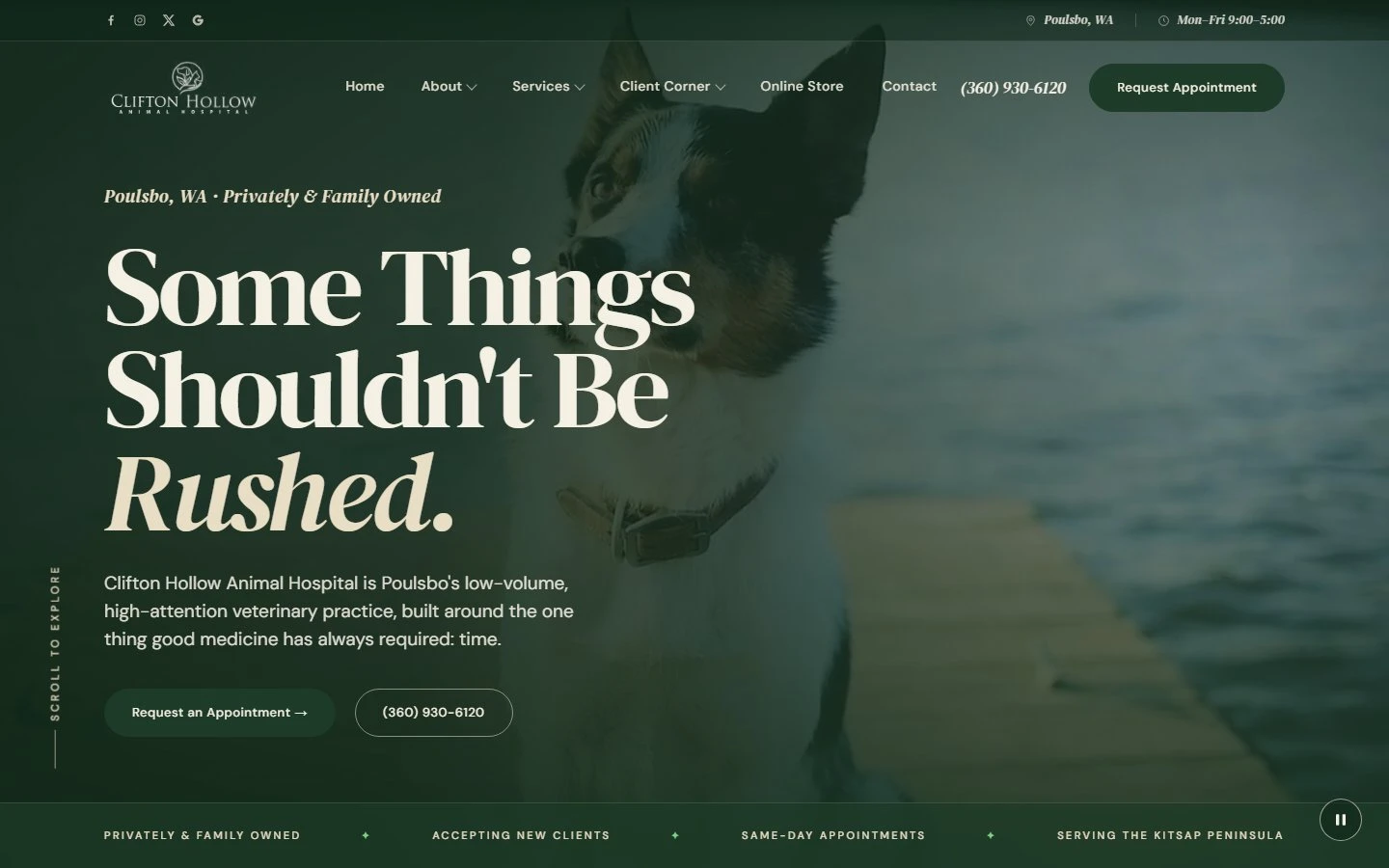 Clifton Hollow Animal Hospital design preview